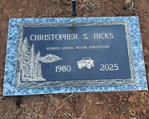 Bronze memorial featuring an evergreen design, mounted on a Rockville (Moonlight Grey) granite base.